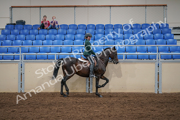 2020 - AB Morgan Horse - Sat, Sept 05 - 05057