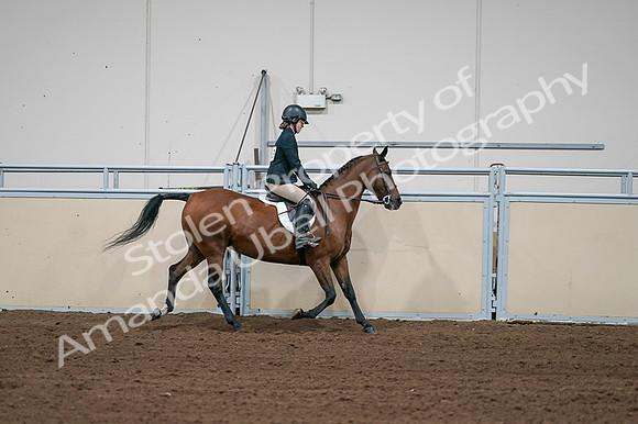 2020 - AB Morgan Horse - Fri, Sept 04 - 02138