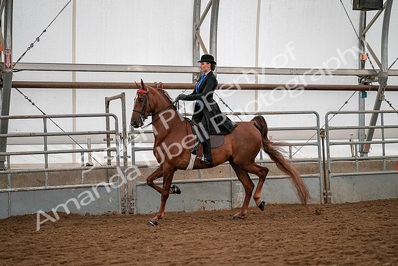 July 19, 2019 - 10466