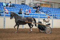 2020 - AB Morgan Horse - Sat, Sept 05 - 05844