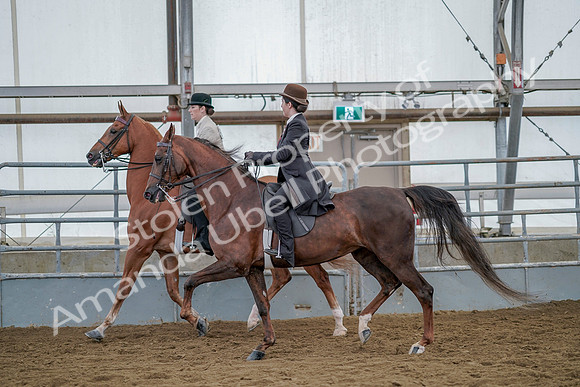 July 20, 2019 - 14596