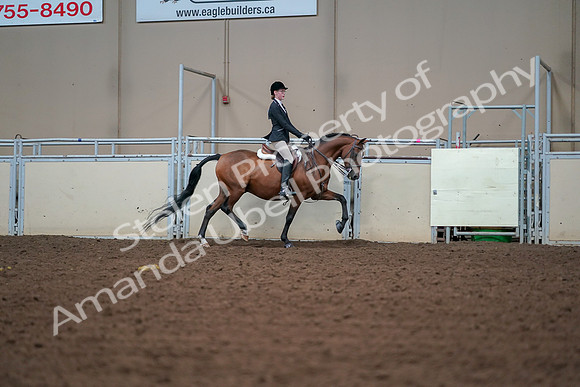 2019 Morgan Horse Show - Aug 30, 2019 - 20908