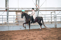 Class 082 - ASB English Three-Gaited Country Pleasure -Adult