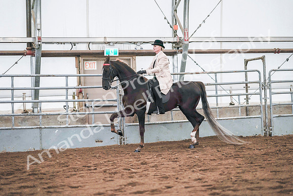 July 20, 2019 - 20795