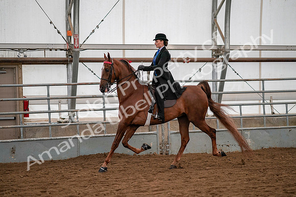 July 19, 2019 - 10304