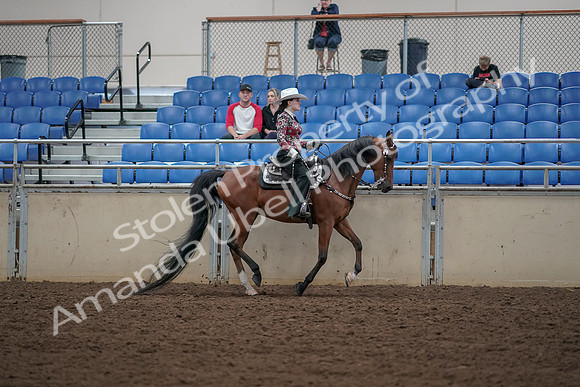2019 Morgan Horse Show - Aug 30, 2019 - 26196