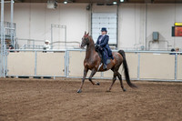 2020 - AB Morgan Horse - Fri, Sept 04 - 07862
