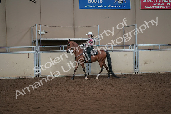 2019 Morgan Horse Show - Aug 30, 2019 - 25987