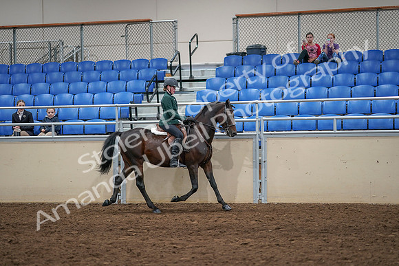 2020 - AB Morgan Horse - Sat, Sept 05 - 05052