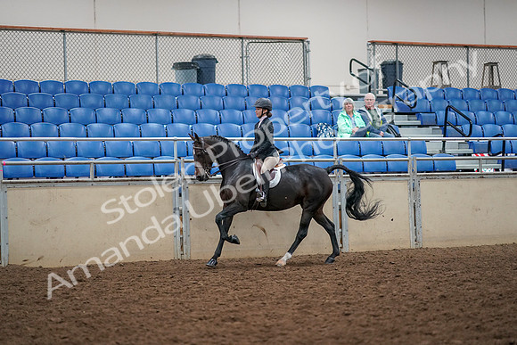 2019 Morgan Horse Show - Aug 30, 2019 - 23394