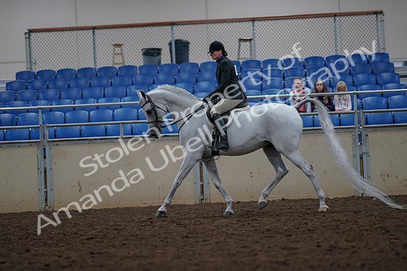 2019 Morgan Horse Show - Aug 31, 2019 - 15975