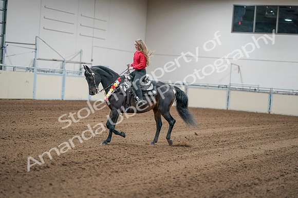2020 - AB Morgan Horse - Sat, Sept 05 - 10386