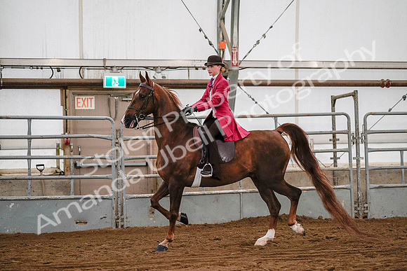 July 19, 2019 - 8736