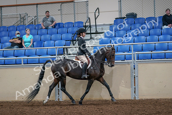 2020 - AB Morgan Horse - Fri, Sept 04 - 06044