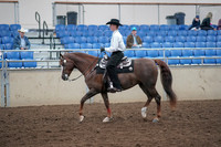 2019 Morgan Horse Show - Aug 31, 2019 - 14114
