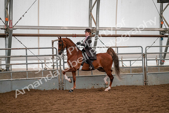 July 19, 2019 - 10333