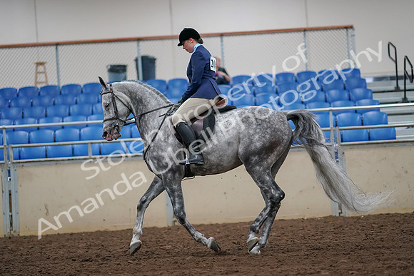 2019 Morgan Horse Show - Aug 30, 2019 - 16381