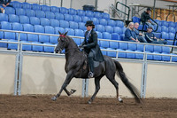 2020 - AB Morgan Horse - Sat, Sept 05 - 00819