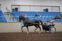 2019 Morgan Horse Show - Aug 31, 2019 - 10257