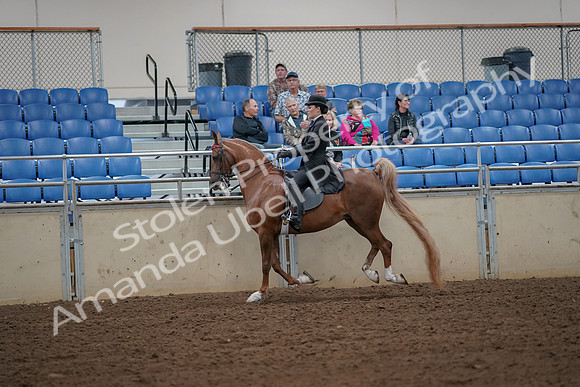 2019 Morgan Horse Show - Aug 30, 2019 - 25161