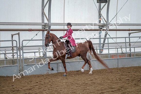 July 20, 2019 - 14485