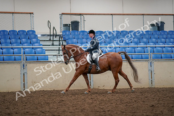 2019 Morgan Horse Show - Aug 30, 2019 - 22405