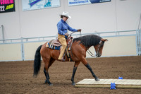 2020 - AB Morgan Horse - Fri, Sept 04 - 00011