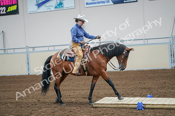 2020 - AB Morgan Horse - Fri, Sept 04 - 00011
