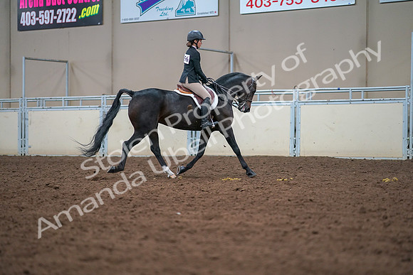 2019 Morgan Horse Show - Aug 30, 2019 - 20956