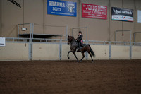 2019 Morgan Horse Show - Aug 30, 2019 - 28289