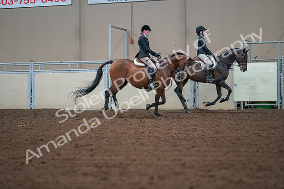 2019 Morgan Horse Show - Aug 30, 2019 - 21003