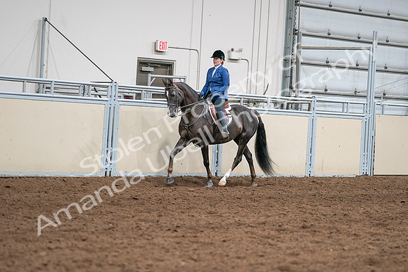 2020 - AB Morgan Horse - Sat, Sept 05 - 04981