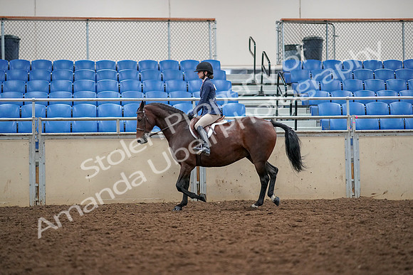 2019 Morgan Horse Show - Aug 30, 2019 - 23226