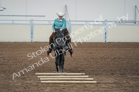 2020 - AB Morgan Horse - Fri, Sept 04 - 00631