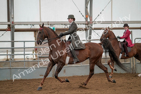 July 20, 2019 - 02219