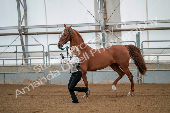 July 19, 2019 - 252