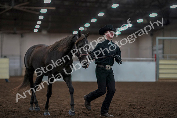 2019 Morgan Horse Show - Aug 31, 2019 - 01912