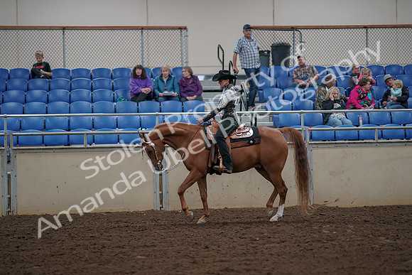 2019 Morgan Horse Show - Aug 30, 2019 - 26019