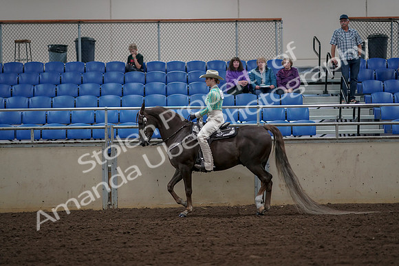 2019 Morgan Horse Show - Aug 30, 2019 - 25951