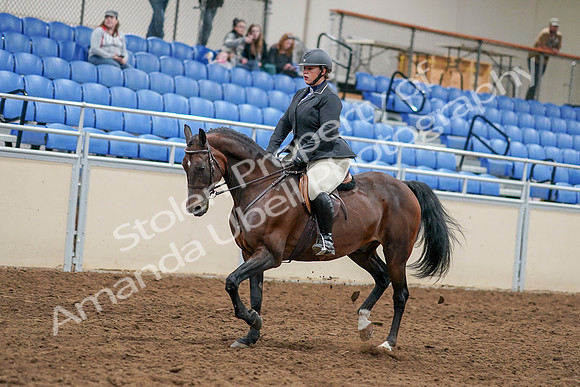 2020 - AB Morgan Horse - Sat, Sept 05 - 14458