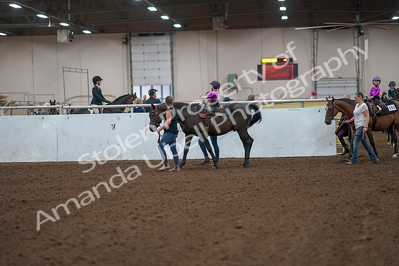 2019 Morgan Horse Show - Aug 31, 2019 - 18883