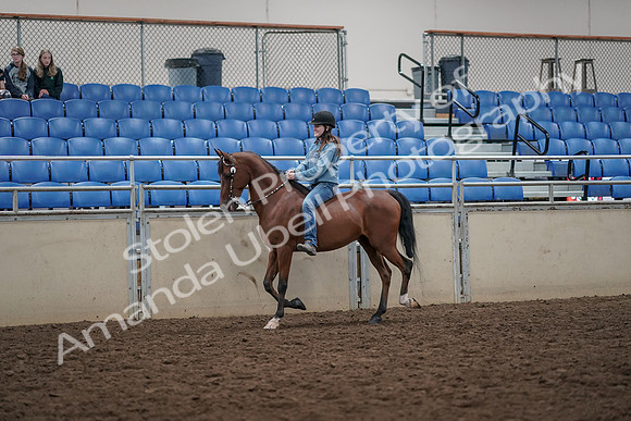 2019 Morgan Horse Show - Aug 30, 2019 - 31090