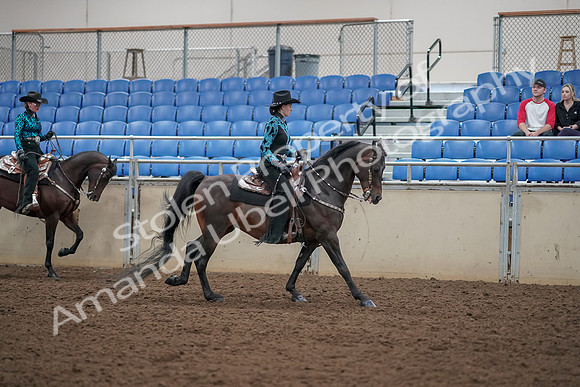 2019 Morgan Horse Show - Aug 30, 2019 - 26163