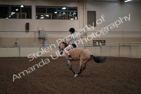 2019 Morgan Horse Show - Aug 30, 2019 - 31257