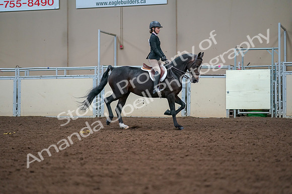 2019 Morgan Horse Show - Aug 30, 2019 - 20771