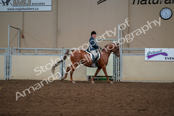 2019 Morgan Horse Show - Aug 30, 2019 - 22474