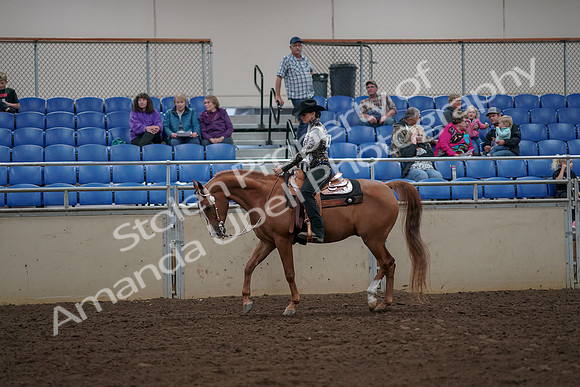 2019 Morgan Horse Show - Aug 30, 2019 - 26011