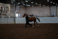2019 Morgan Horse Show - Aug 30, 2019 - 25531