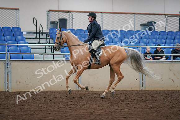 2019 Morgan Horse Show - Aug 30, 2019 - 16393