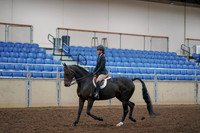 2019 Morgan Horse Show - Aug 30, 2019 - 12128